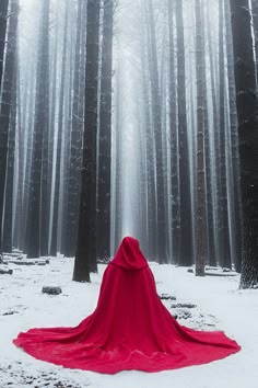 Red Riding Hood (2011) สาวหมวกแดง