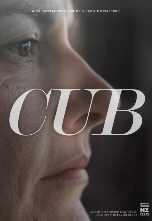CUB (2014) ปิดค่ายเชือด ซับไทย เต็มเรื่อง